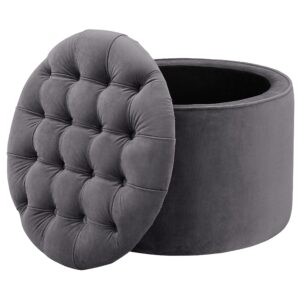 TOV Furniture Queen Velvet Storage Ottoman, Grey