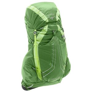 Osprey Exos 38 Men's Backpacking Backpack, Tunnel Green, Large