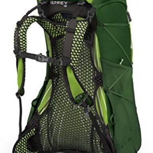 Osprey Exos 38 Men's Backpacking Backpack, Tunnel Green, Large