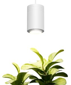 aspect large white luxury led grow light – for medium and large plants