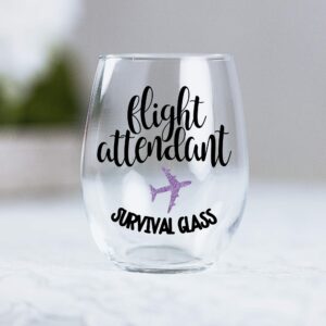 Funny Flight Attendant Gifts for Women Graduation Idea Stemless Wine Glass Present Her 0078