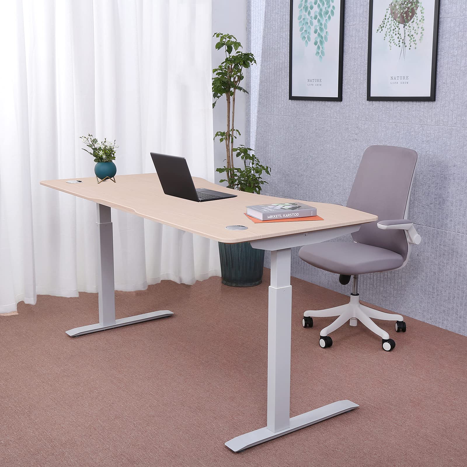 ApexDesk Elite Pro Series 60" Electric Height Adjustable Stand up Desk, Sit Stand Home Office Desk, Computer Desk - Curved Oak