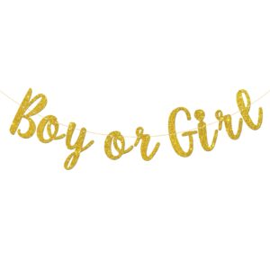 Karoo Jan Boy Or Girl Banner Gender Reveal Party Hung Bunting Pregnancy Announcement Gold Glitter Decorations Supplies