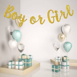 Karoo Jan Boy Or Girl Banner Gender Reveal Party Hung Bunting Pregnancy Announcement Gold Glitter Decorations Supplies