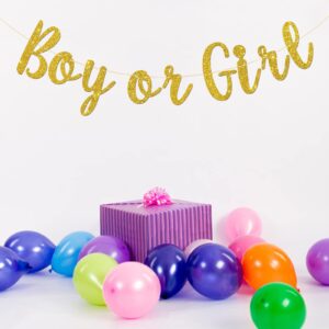 Karoo Jan Boy Or Girl Banner Gender Reveal Party Hung Bunting Pregnancy Announcement Gold Glitter Decorations Supplies