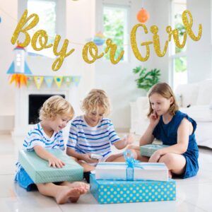 Karoo Jan Boy Or Girl Banner Gender Reveal Party Hung Bunting Pregnancy Announcement Gold Glitter Decorations Supplies