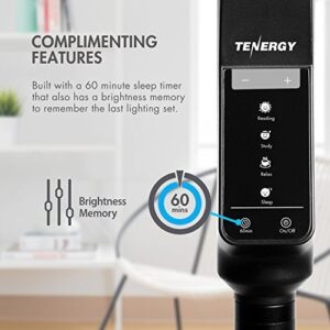 Tenergy LED Floor Lamp Desk Lamp, 2-in-1 Dimmable Task Lamp, 60-Min Timer, Flexible Gooseneck, Touch Control Floor Lamp for Reading/Crafting, 2000 Lumens