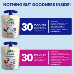 GoGo squeeZ yogurtZ Variety Pack, Blueberry and Berry, 3 oz (Pack of 60), Kids Snacks Made from Real Yogurt and Fruit, No Fridge Needed, Gluten Free, Nut Free, Recloseable Cap, BPA Free Pouches