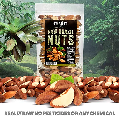 Raw Brazil Nuts 32oz (2 lb) Distinct and Superior to Organic | No PPO Non GMO Batch Tested Gluten & Peanut Free Herbicides Or Pesticides Vegan Keto Friendly Large, Fresh Resealable bag.