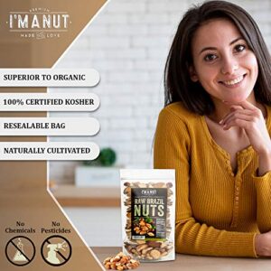 Raw Brazil Nuts 32oz (2 lb) Distinct and Superior to Organic | No PPO Non GMO Batch Tested Gluten & Peanut Free Herbicides Or Pesticides Vegan Keto Friendly Large, Fresh Resealable bag.