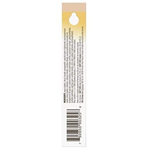 Burts Bees Fair Concealer, 0.22 OZ