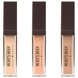 Burts Bees Fair Concealer, 0.22 OZ