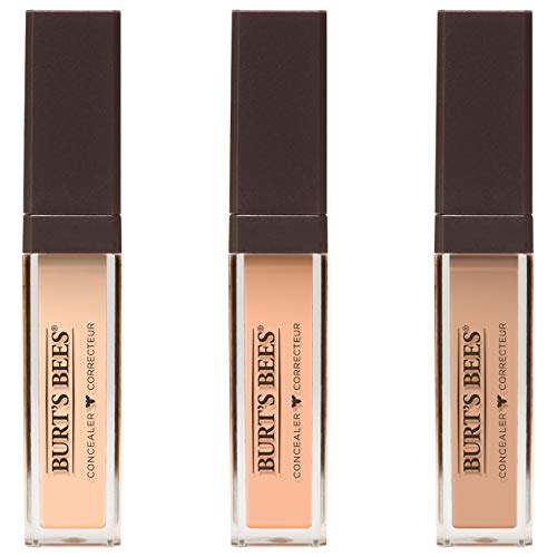 Burts Bees Fair Concealer, 0.22 OZ