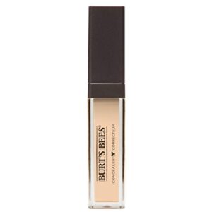 Burts Bees Fair Concealer, 0.22 OZ