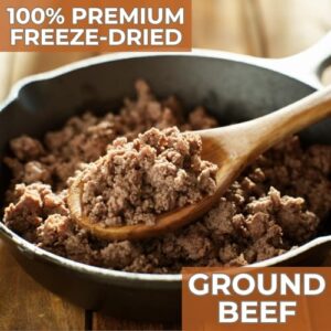 Nutristore Freeze Dried Ground Beef | Pre-Cooked Hamburger Meat for Backpacking, Camping, Meal Prep | Long Term Survival Emergency Food Supply | 25 Year Shelf Life | Bulk #10 Can | Made in USA