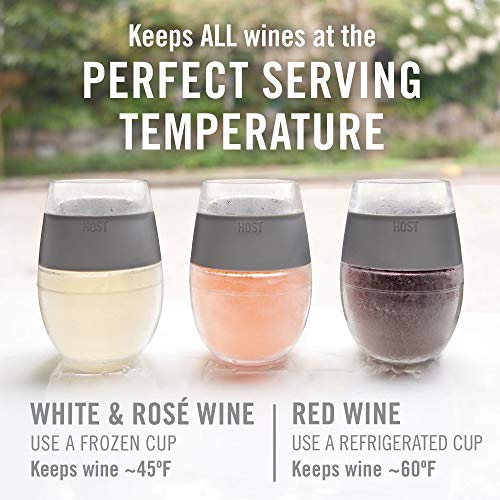 HOST Cooling Cup Plastic Double Wall Insulated Freezable Drink Chilling Tumbler with Freezing Gel Wine Glasses for Red and White Wine, 8.5 oz, Grey Set of 1