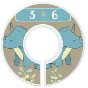 Mumsy Goose Baby Boy Clothes Dividers Nursery Closet Dividers Dinosaurs