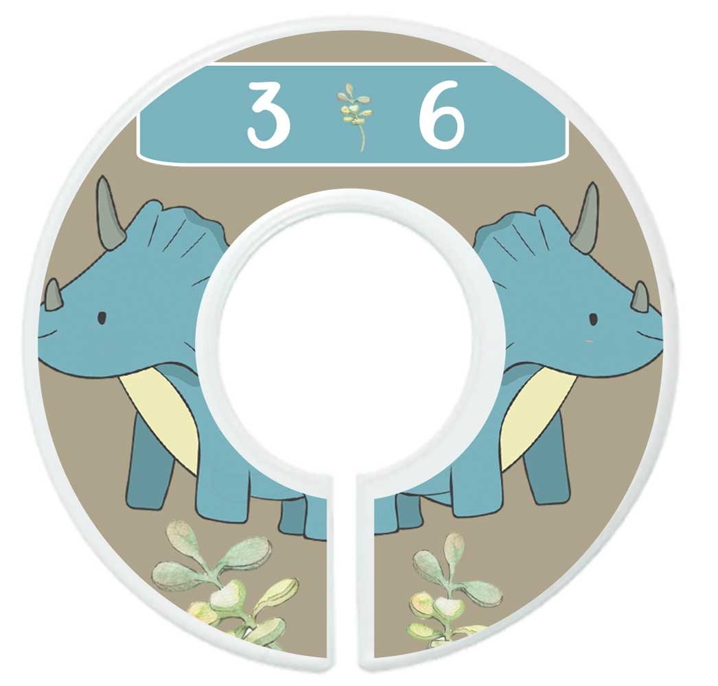 Mumsy Goose Baby Boy Clothes Dividers Nursery Closet Dividers Dinosaurs