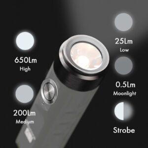 RovyVon A1 Gen 4 Rechargeable EDC Flashlight 650 Lumens Super Bright Outdoor Mini Keychain Flashlights for Everyday Carry, Camping, Thanksgiving, Xmas Gift(Grey)