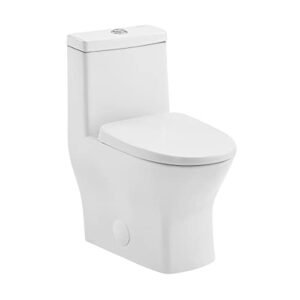 swiss madison sm-1t257 sublime ii compact 24" length one piece toilet dual flush 1.1/1.6 gpf with side holes, glossy white