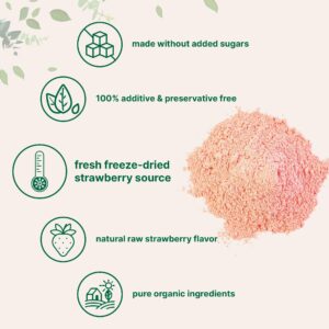 Organic Strawberry Powder, 1 Lb | 100% Natural Fruit Powder | Freeze-Dried Strawberries Source | No Sugar & Additives | Great Flavor for Drinks, Smoothie, & Beverages | Non-GMO & Vegan Friendly