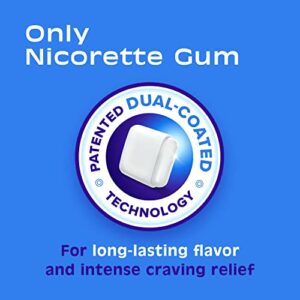 Nicorette 2 mg Nicotine Gum to Help Quit Smoking - White Ice Mint Flavored Stop Smoking Aid, 160 Count