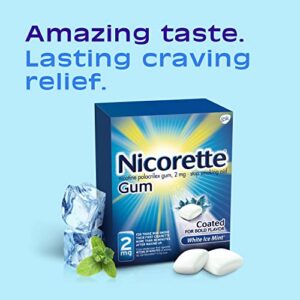 Nicorette 2 mg Nicotine Gum to Help Quit Smoking - White Ice Mint Flavored Stop Smoking Aid, 160 Count