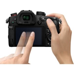 Panasonic Lumix DC-GH5S Mirrorless Micro Four Thirds Digital Camera DC-GH5S - Gold + Level Bundle