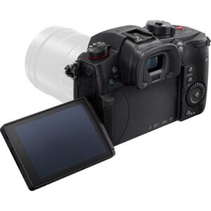 Panasonic Lumix DC-GH5S Mirrorless Micro Four Thirds Digital Camera DC-GH5S - Gold + Level Bundle