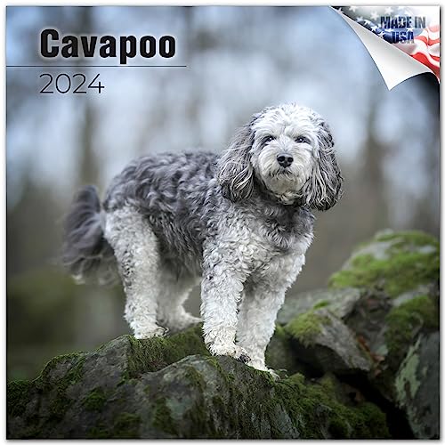 2023 2024 Cavapoo Calendar - Dog Breed Monthly Wall Calendar - 12 x 24 Open - Thick No-Bleed Paper - Giftable - Academic Teacher's Planner Calendar Organizing & Planning