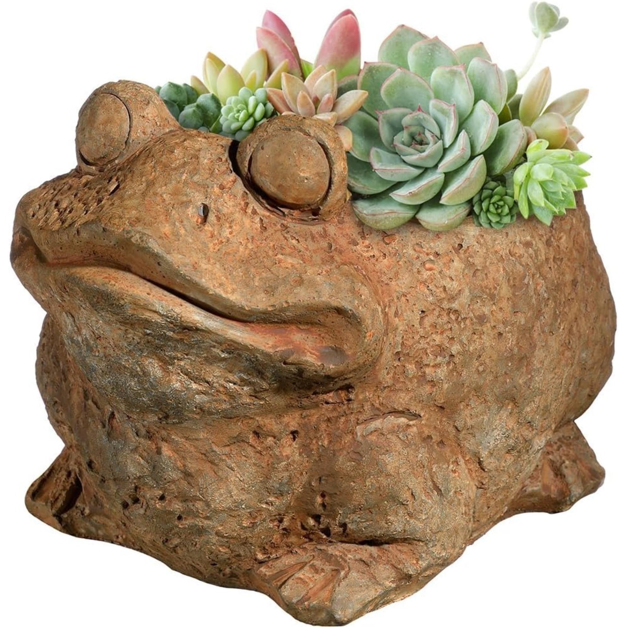 Classic Home and Garden Cement Buddies Indoor Outdoor Planter with Drainage Hole, Frog, Rust, Small, 5.5in