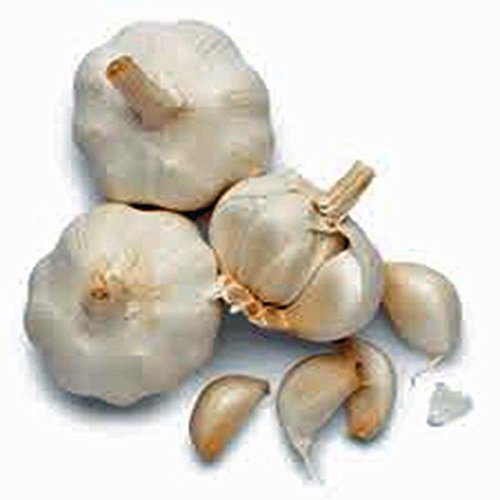 Garlic Bulb (8 Pack), Fresh California SOFTNECK Garlic Bulb for Planting and Growing Your OWN Garlic