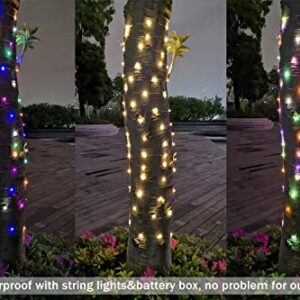 ER CHEN Color Changing Battery Operated Fairy Lights, 33ft 100 LED 8 Modes Silvery Copper Wire Twinkle String Lights with Remote/Timer for Bedroom, Patio, Wedding, Party (Warm White&Multicolor)