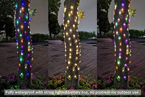 ER CHEN Color Changing Battery Operated Fairy Lights, 33ft 100 LED 8 Modes Silvery Copper Wire Twinkle String Lights with Remote/Timer for Bedroom, Patio, Wedding, Party (Warm White&Multicolor)