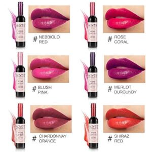 6 Colors Wine Lip Tint, Natural Liquid Lipstick Long Lasting Mini Make Up Lip Gloss Matte Lip Sticks Wine Bottle