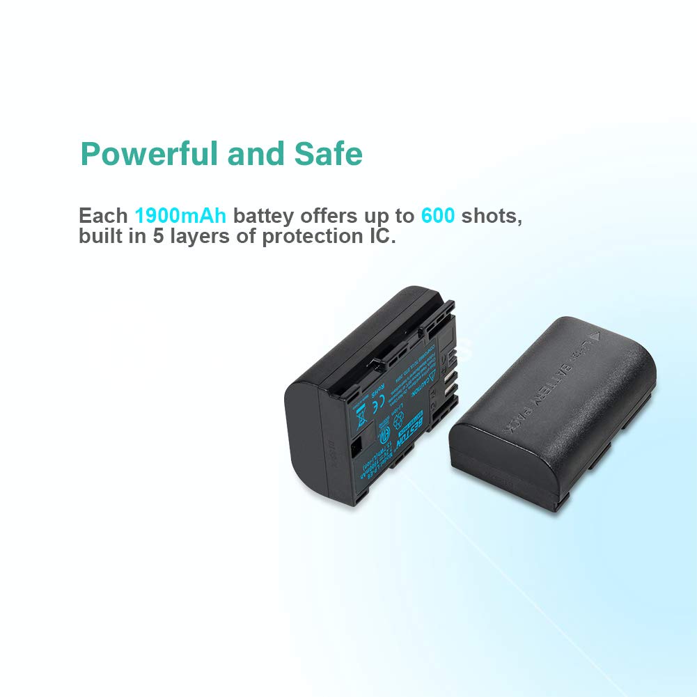 BESTON 2-Pack LP-E6 LP-E6N Battery and Charger for Canon EOS R 6D 7D 60D 70D 80D 90D, 5D Mark II III IV, 6D Mark II, 7D Mark II, 5DS R, XC10 XC15 Camera