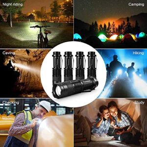10 Pack Mini Flashlights Small LED Flashlight 300 Lumen Portable Tactical Zoomable Pocket Torch Lantern Adjustable Focus Light for Kids Child Camping Emergency Travel Hiking Torch Light