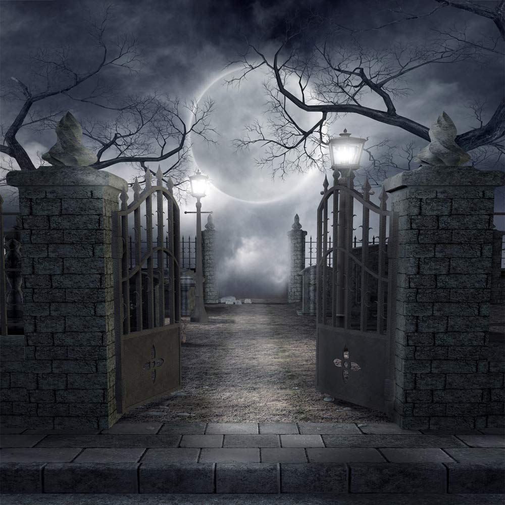 OUYIDA 10X10FT Halloween Theme Pictorial Cloth Customized Photography Backdrop Background Studio Prop TP17C