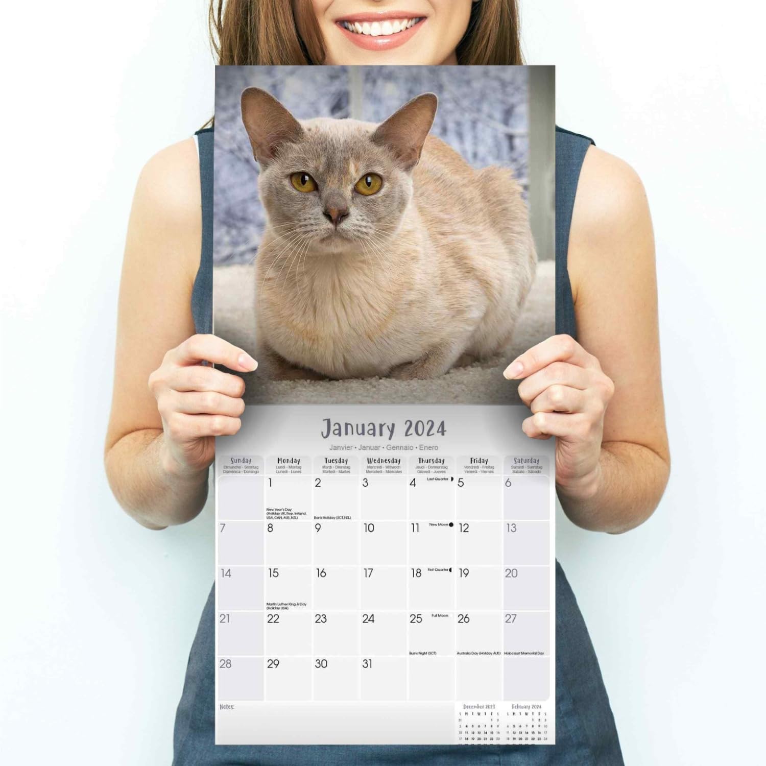 2023 2024 Burmese Cats Calendar - Cute Animal Monthly Wall Calendar - 12 x 24 Open - Thick No-Bleed Paper - Giftable - Academic Teacher's Planner Calendar Organizing & Planning