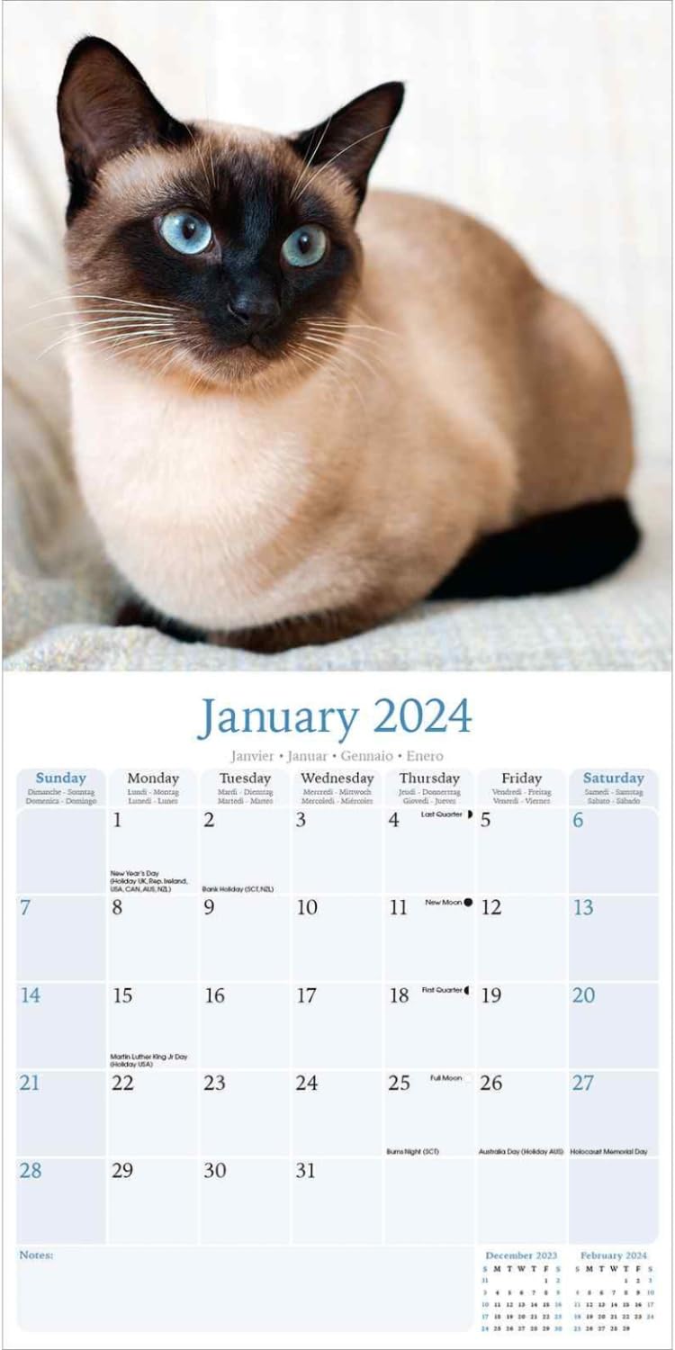 2023 2024 Siamese Cats Calendar - Cute Animal Monthly Wall Calendar - 12 x 24 Open - Thick No-Bleed Paper - Giftable - Academic Teacher's Planner Calendar Organizing & Planning