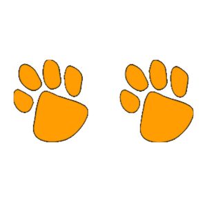 fashiontats orange paw prints temporary tattoos | 20 pack | skin safe | made in the usa | removable