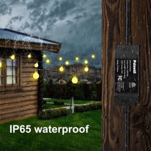 Outdoor Dimmer for String Lights,350W String Light Dimmer Switch,100ft Remote Control Dimming Timer for Led Light,Lamp and Patio Light,Dimmer for Outdoor String Light,Dimmer Plug,Timer,Waterprooof