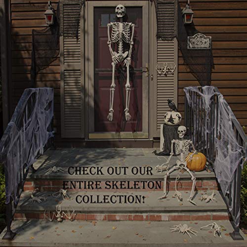 Halloween Animal Skeleton 5 Pack Decorations-9"-15" Each-Weather Resistant Yard Fall Decorations-Graveyard Prop for Haunted House Party Decor and Indoor/Outdoor Use, School Classroom Decoration