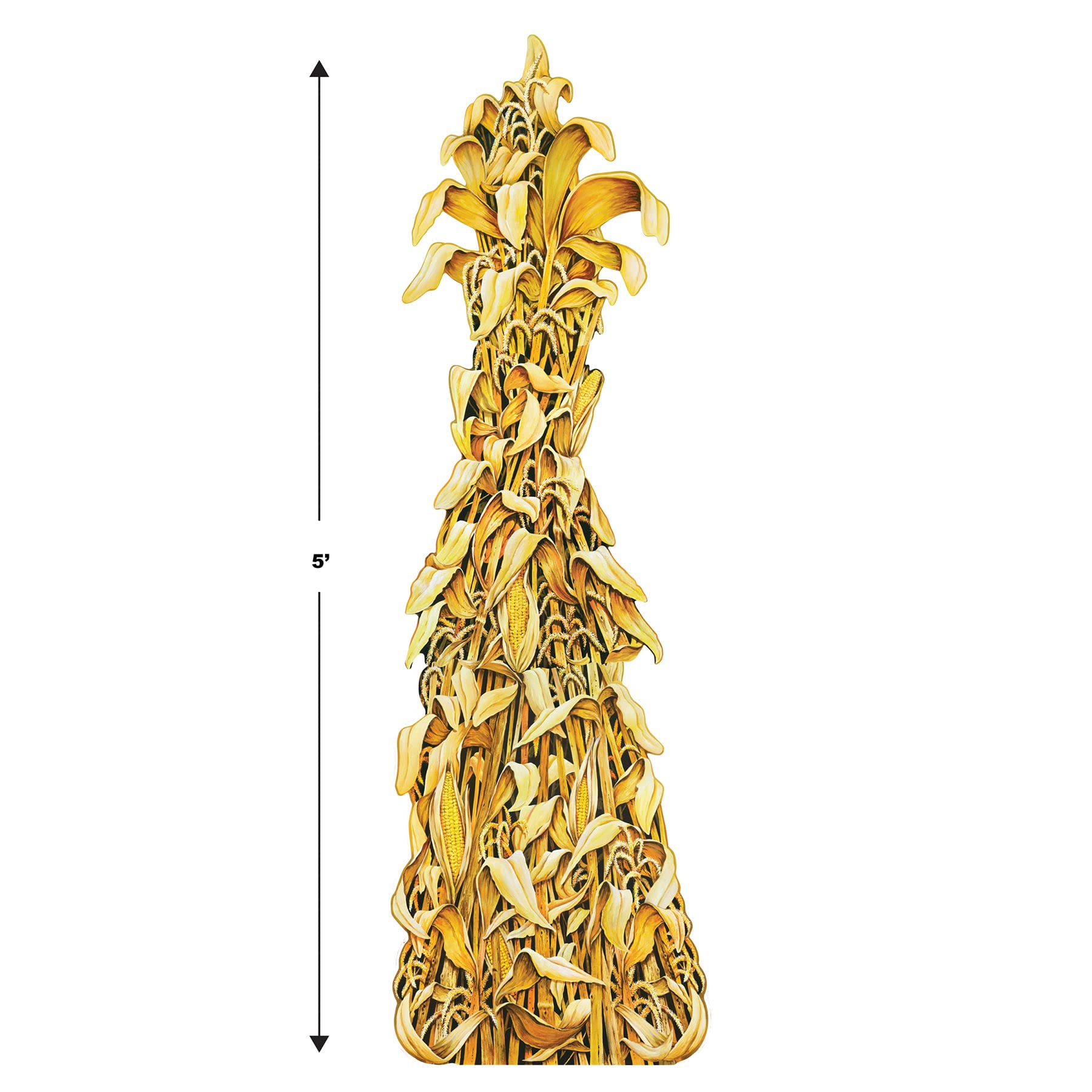 Beistle Cornstalk Photo Props, 5' Tall, Set of 2 - Thanksgiving Harvest Party Wall Decoration, Fall Cut Out Backdrop Decor