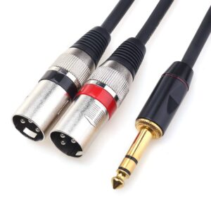 disino 1/4 trs to dual xlr male y-splitter stereo breakout cable 1/4 inch(6.35mm) to 2 xlr patch cable - 10 ft/3m