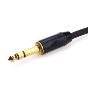 DISINO 1/4 TRS to Dual XLR Male Y-Splitter Stereo Breakout Cable 1/4 inch(6.35mm) to 2 XLR Patch Cable - 10 FT/3m