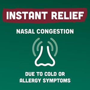 Afrin No Drip Severe Congestion Maximum Strength Nasal Spray - 12 Hour Nasal Spray Relief for Nose Congestion, Nasal Swelling, and Allergies - 2 x 0.5 Fl Oz Bottles - Pack of 1