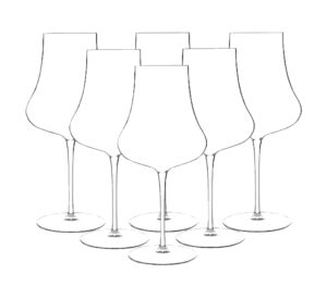 luigi bormioli tentazioni set of 6 bordeaux 22.75 oz. wine glasses, crystal son-hyx glass, with titanium reinforced stems, a decanter on a stem, dishwasher safe, made in italy.