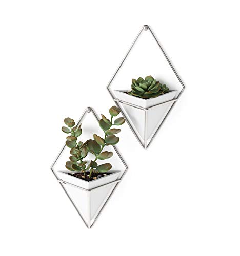 Umbra Trigg Small Wall Display, White-Nickel, Planter Pot, Indoor Outdoor Usage