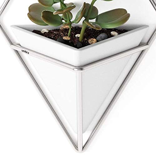 Umbra Trigg Small Wall Display, White-Nickel, Planter Pot, Indoor Outdoor Usage